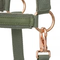20820064 Halter EQ.QUEEN Athens 24SS light green3.webp