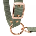 20820064 Halter EQ.QUEEN Athens 24SS light green2.webp