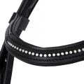 20920014 Bridle EQ.QUEEN Orion black detail.jpg