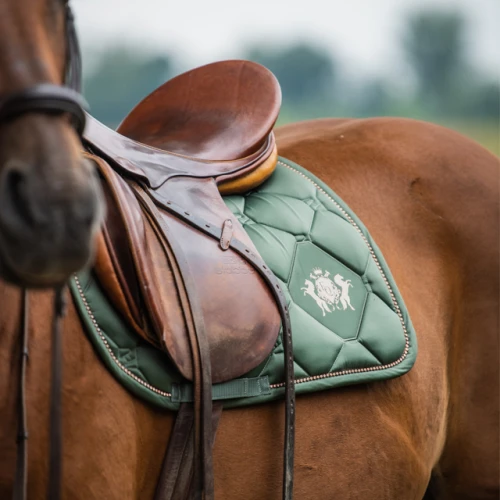 Saddle pad EQ.QUEEN Amsterdam 26AW