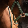 Saddle pad Amsterdam EQ copy.jpg