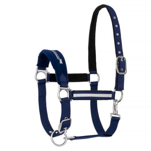 Halter EQ.QUEEN Turin 22AW 